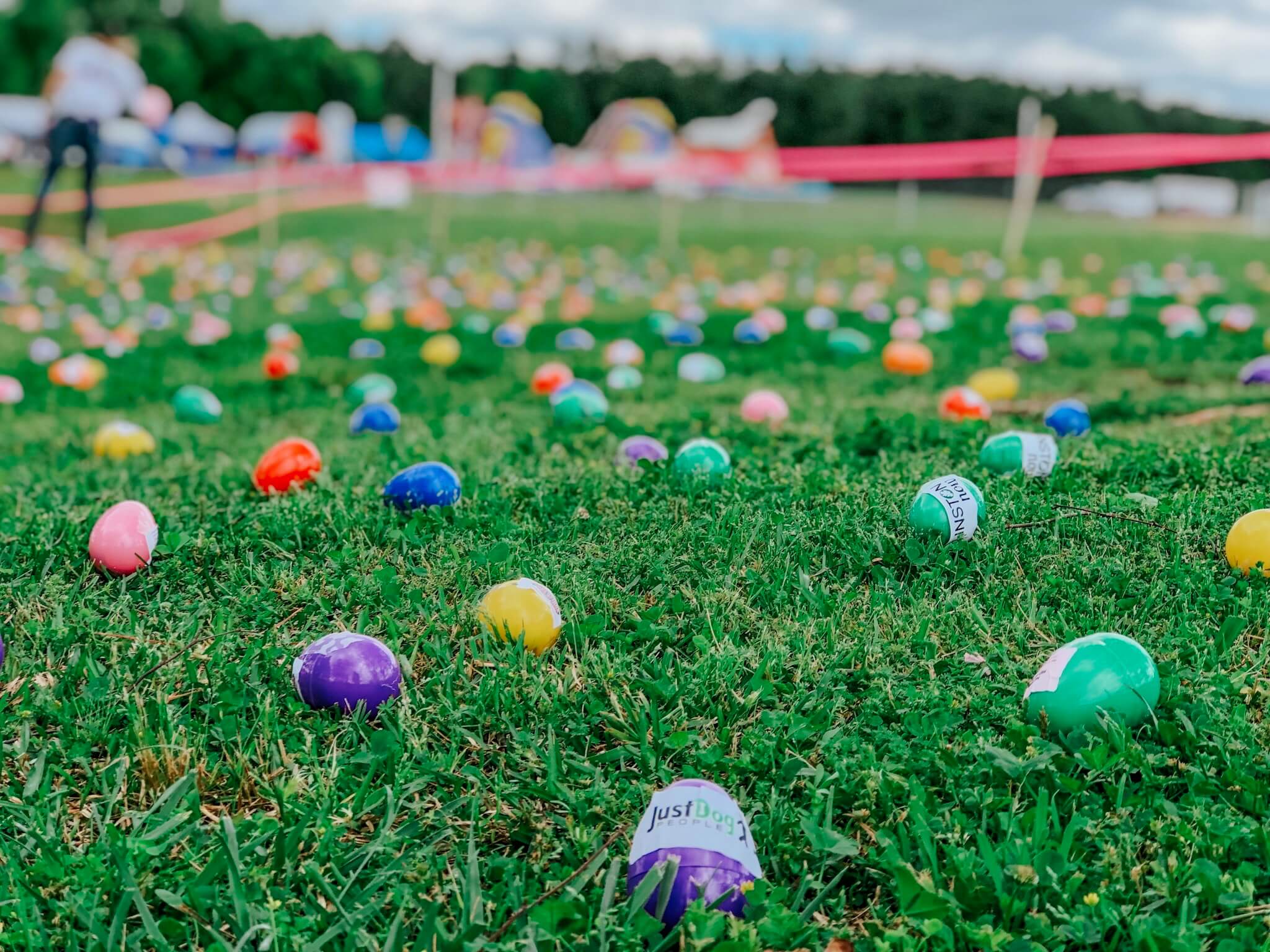 Easter Egg Hunt Garner NC 2019 with field of colorful Easter Eggs