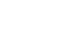 Lane DDS white logo