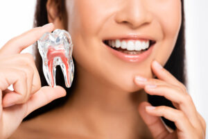 cropped view of smiling woman holding tooth model isolated on white